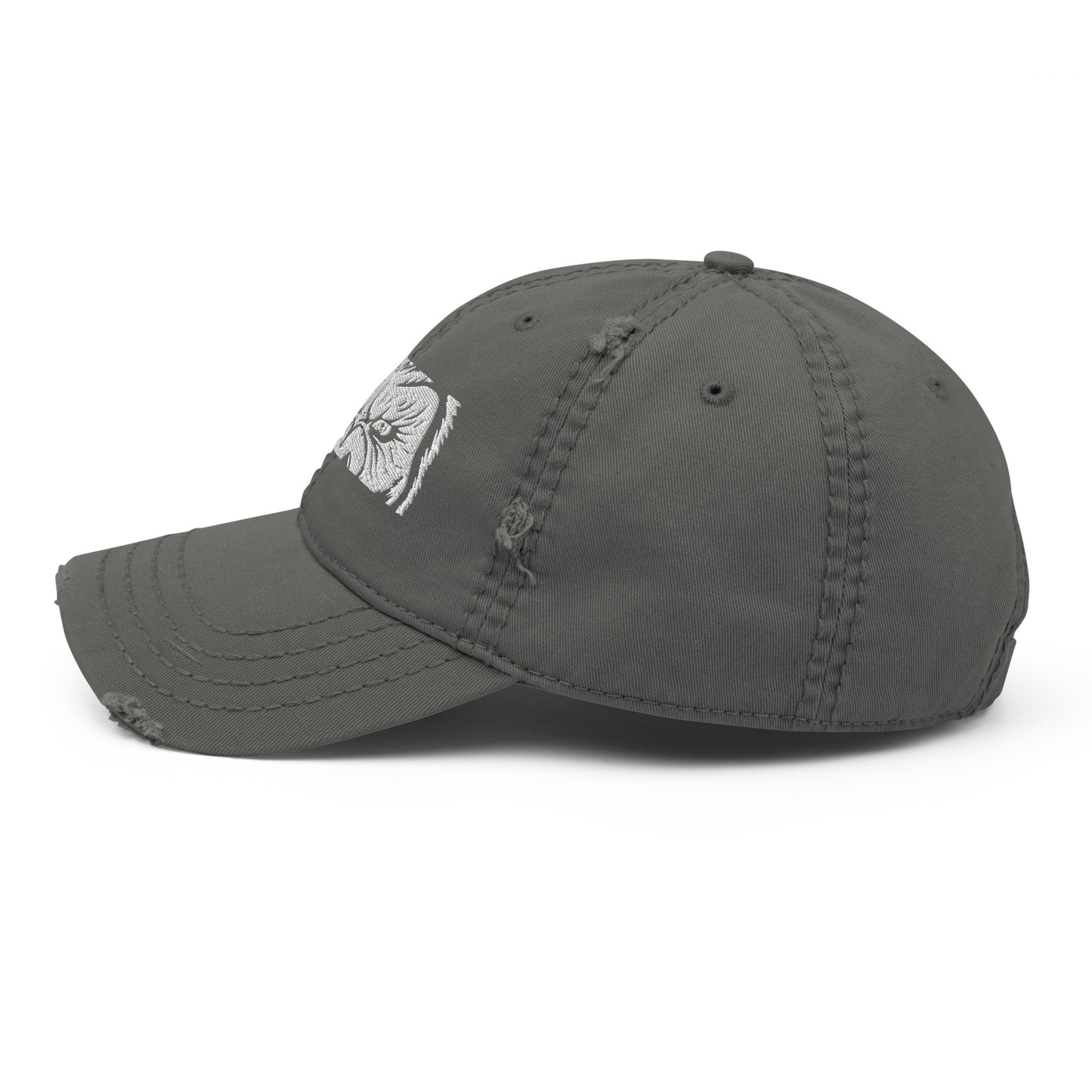 Distressed Dad Hat